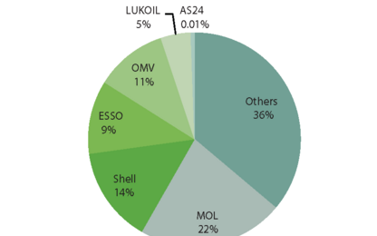 Independent petrol retailers own a fifth of Europe’s petrol filling stations