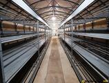 Warehouses to let in Bodrogkeresztúr, Modern termikus szigetelésű raktárépület