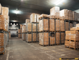 Warehouses to let in Dunakeszi Hűtőház