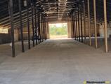 Warehouses to let in Hajdúszoboszlón kiadó telep raklapos és ömlesztett áru tárolására