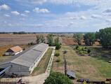 Warehouses to let in 4 storage units for rent in Hajdúszoboszló, for example storing pallets