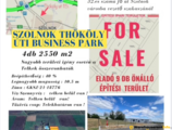 Warehouses to let in M4 Szolnok