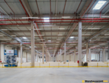Warehouses to let in Új építésű raktár - Debrecen