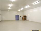 Warehouses to let in Kiadó / Eladó 2100+m2 Hűtőház - Raktár Tahitótfalun