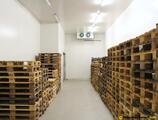 Warehouses to let in Kiadó / Eladó 2100+m2 Hűtőház - Raktár Tahitótfalun