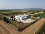 Warehouses to let in Kiadó / Eladó 2100+m2 Hűtőház - Raktár Tahitótfalun