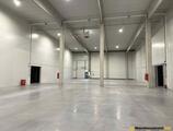 Warehouses to let in AG Logisztikai Központ