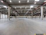 Warehouses to let in SZINPARK 1