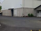 Warehouses to let in Tintoria Piana MGR Festöde Kft