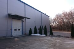 Warehouses to let in Promesa raktárház és iroda