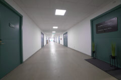 Warehouses to let in P+P Kereskedőház