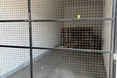 Warehouses to let in Medimpex ZRt